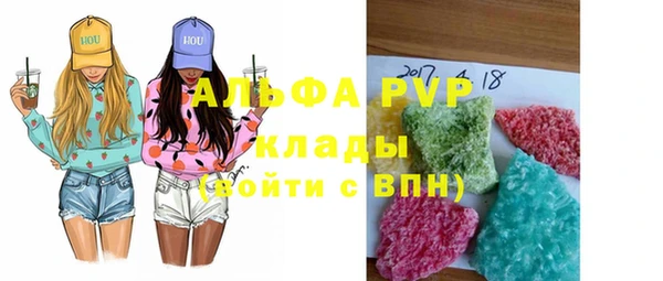 стаф Арсеньев