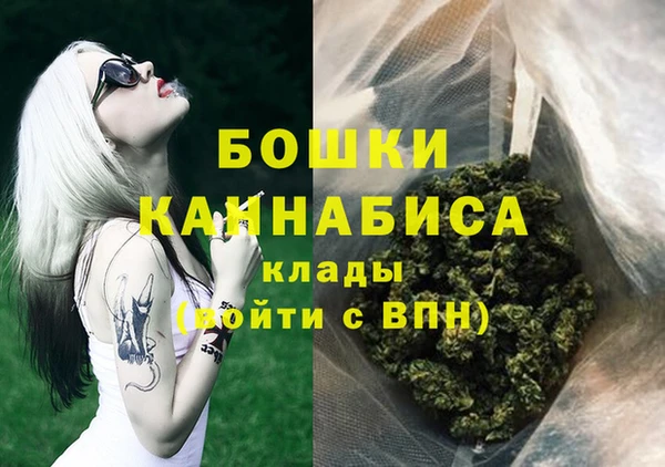 стаф Арсеньев