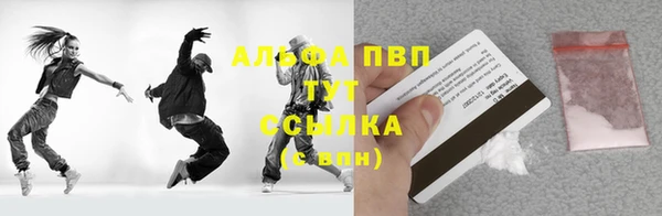 стаф Арсеньев