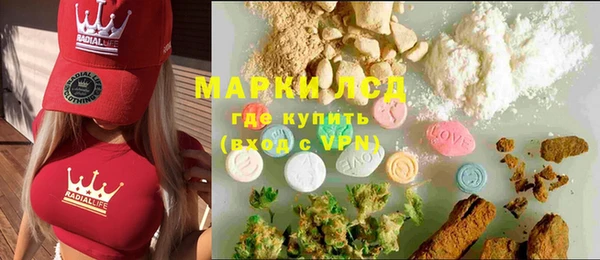стаф Арсеньев