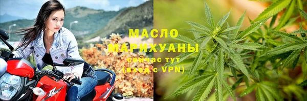 стаф Арсеньев