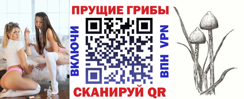 Галлюциногенные грибы Psilocybine cubensis  Октябрьск 